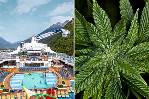 Can You Bring Medical Marijuana On A Cruise Ship?