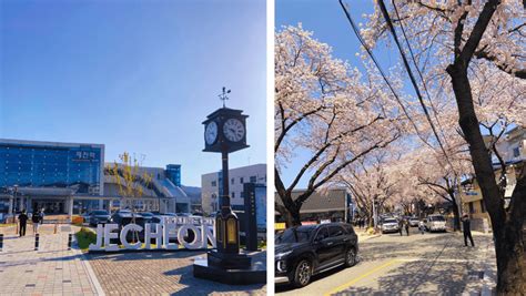 제천 리솜포레스트: 숲 속의 시간을 거슬러 올라가는 여행